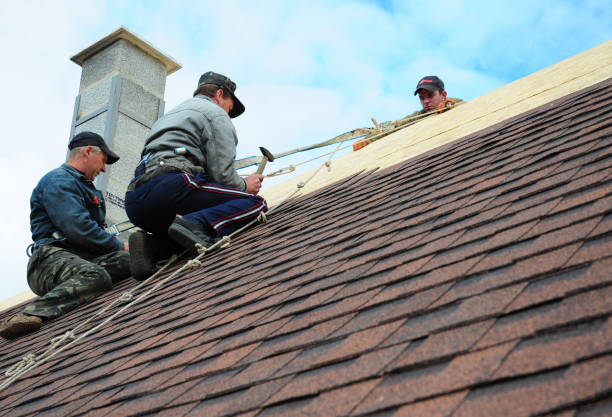 Quick and Trustworthy Emergency Roof Repair Services in Cedarville, AR